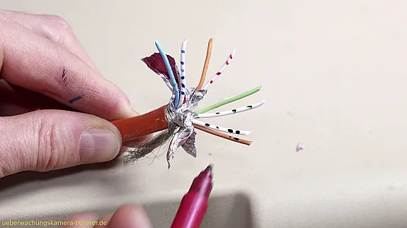 Adern farblich markiert