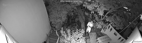 Reolink Floodlight Elite - Testaufnahmen - Nachtsicht - Infrarot